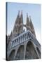 The Sagrada Familia, UNESCO World Heritage Site, Barcelona, Catalonia, Spain, Europe-Angelo Cavalli-Stretched Canvas