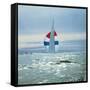 The Sailboat Nefertiti Competing in the America's Cup Trials-George Silk-Framed Stretched Canvas