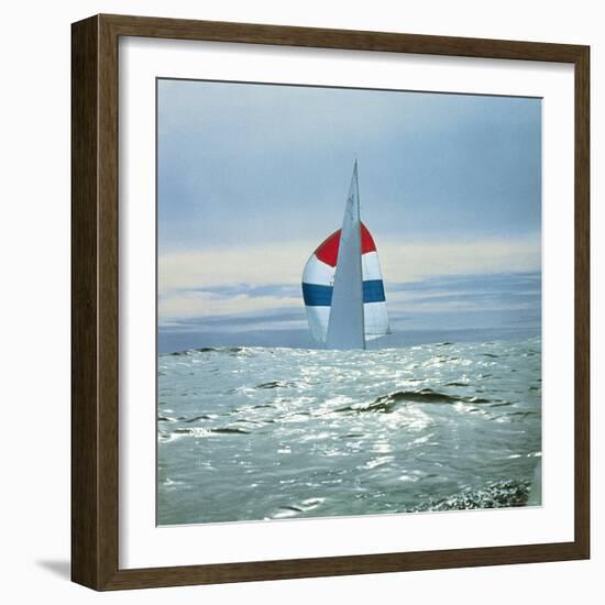 The Sailboat Nefertiti Competing in the America's Cup Trials-George Silk-Framed Photographic Print