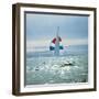 The Sailboat Nefertiti Competing in the America's Cup Trials-George Silk-Framed Photographic Print