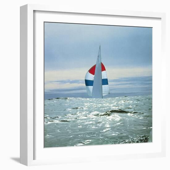 The Sailboat Nefertiti Competing in the America's Cup Trials-George Silk-Framed Photographic Print