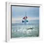 The Sailboat Nefertiti Competing in the America's Cup Trials-George Silk-Framed Photographic Print