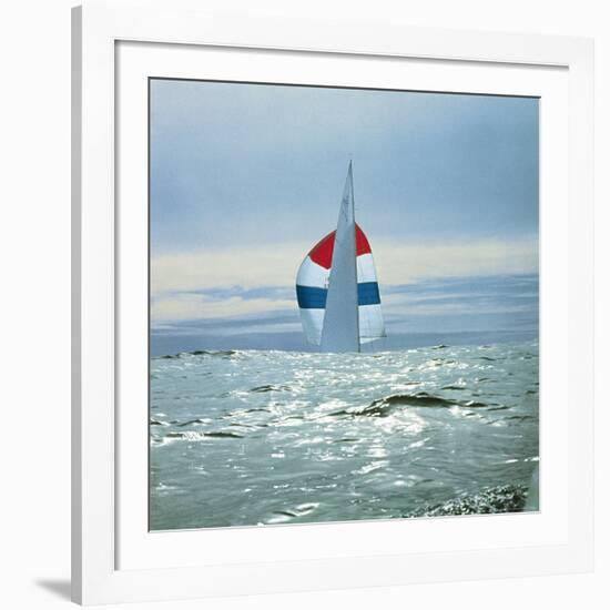 The Sailboat Nefertiti Competing in the America's Cup Trials-George Silk-Framed Photographic Print