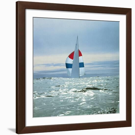 The Sailboat Nefertiti Competing in the America's Cup Trials-George Silk-Framed Photographic Print