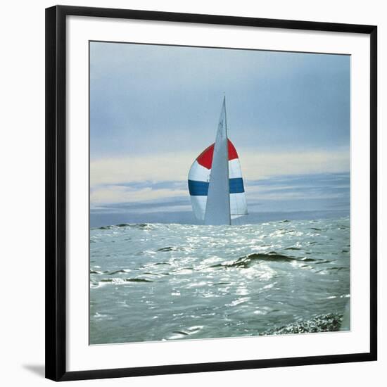 The Sailboat Nefertiti Competing in the America's Cup Trials-George Silk-Framed Photographic Print