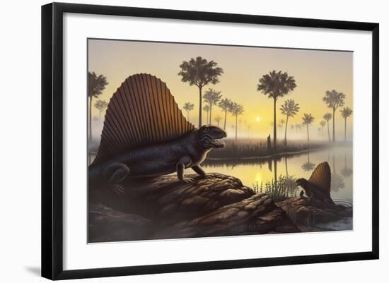 The Sailed-Back Dimetrodon Sunbathes in a Primordial Swamp-null-Framed Art Print