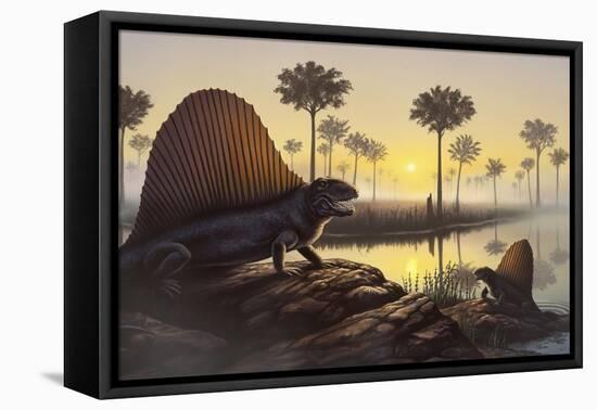 The Sailed-Back Dimetrodon Sunbathes in a Primordial Swamp-null-Framed Stretched Canvas