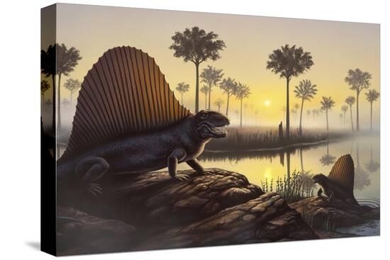 Stretched Canvas Print, , large