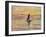 The Sailing Boat, Evening Effect, 1885-Claude Monet-Framed Giclee Print