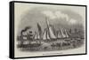 The Sailing Match Off Greenwich-null-Framed Stretched Canvas