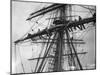 The Sailing Ship the Terra Nova-null-Mounted Premium Photographic Print