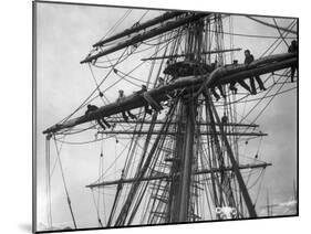 The Sailing Ship the Terra Nova-null-Mounted Premium Photographic Print