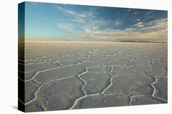 The Salar De Uyuni at Sunrise-Alex Saberi-Stretched Canvas