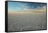 The Salar De Uyuni at Sunrise-Alex Saberi-Framed Stretched Canvas