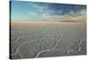 The Salar De Uyuni at Sunrise-Alex Saberi-Stretched Canvas