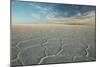 The Salar De Uyuni at Sunrise-Alex Saberi-Mounted Photographic Print