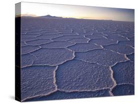 The Salar De Uyuni Salt Flat and Andes Mountains in the Distance-Sergio Ballivian-Stretched Canvas