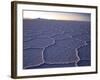 The Salar De Uyuni Salt Flat and Andes Mountains in the Distance-Sergio Ballivian-Framed Photographic Print