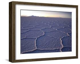 The Salar De Uyuni Salt Flat and Andes Mountains in the Distance-Sergio Ballivian-Framed Photographic Print