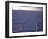 The Salar De Uyuni Salt Flat and Andes Mountains in the Distance-Sergio Ballivian-Framed Photographic Print