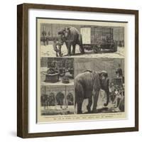 The Sale by Auction of Myers' Great American Circus and Hippodrome-John Charles Dollman-Framed Giclee Print