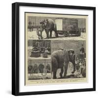 The Sale by Auction of Myers' Great American Circus and Hippodrome-John Charles Dollman-Framed Giclee Print