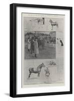 The Sale of the King's Horses at Sandringham, 4 February-Ralph Cleaver-Framed Giclee Print