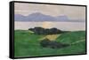 The Saleve and the Lake, 1900-Félix Vallotton-Framed Stretched Canvas