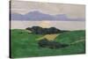 The Saleve and the Lake, 1900-Félix Vallotton-Stretched Canvas