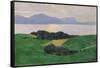 The Saleve and the Lake, 1900-Félix Vallotton-Framed Stretched Canvas