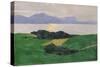 The Saleve and the Lake, 1900-Félix Vallotton-Stretched Canvas