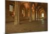 The Salle De La Grande Audience or Big Audience Room Inside the Palais Des Papes-Julian Elliott-Mounted Photographic Print