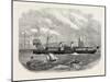The Saloon Steam Packet Company's New Ship Alexandra, 1865-null-Mounted Giclee Print