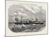 The Saloon Steam Packet Company's New Ship Alexandra, 1865-null-Mounted Giclee Print