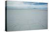 The Salt Crust on the Salar De Uyuni-Alex Saberi-Stretched Canvas