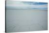 The Salt Crust on the Salar De Uyuni-Alex Saberi-Stretched Canvas