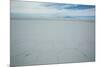 The Salt Crust on the Salar De Uyuni-Alex Saberi-Mounted Photographic Print