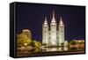 The Salt Lake Temple at Night-Michael Nolan-Framed Stretched Canvas