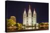 The Salt Lake Temple at Night-Michael Nolan-Stretched Canvas