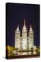 The Salt Lake Temple at Night-Michael Nolan-Stretched Canvas