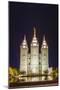 The Salt Lake Temple at Night-Michael Nolan-Mounted Photographic Print