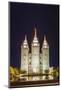 The Salt Lake Temple at Night-Michael Nolan-Mounted Photographic Print