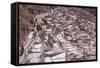 The Salt Mines of Las Salinas De Maras-Peter Groenendijk-Framed Stretched Canvas