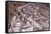 The Salt Mines of Las Salinas De Maras-Peter Groenendijk-Framed Stretched Canvas