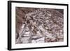 The Salt Mines of Las Salinas De Maras-Peter Groenendijk-Framed Photographic Print