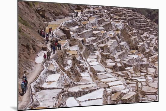 The Salt Mines of Las Salinas De Maras-Peter Groenendijk-Mounted Photographic Print