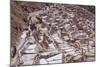 The Salt Mines of Las Salinas De Maras-Peter Groenendijk-Mounted Photographic Print