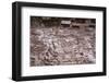 The Salt Mines of Las Salinas De Maras-Peter Groenendijk-Framed Photographic Print