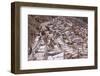 The Salt Mines of Las Salinas De Maras-Peter Groenendijk-Framed Photographic Print