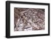 The Salt Mines of Las Salinas De Maras-Peter Groenendijk-Framed Photographic Print